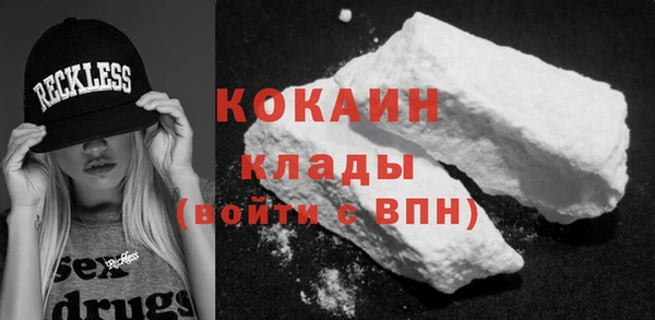 стаф Белокуриха