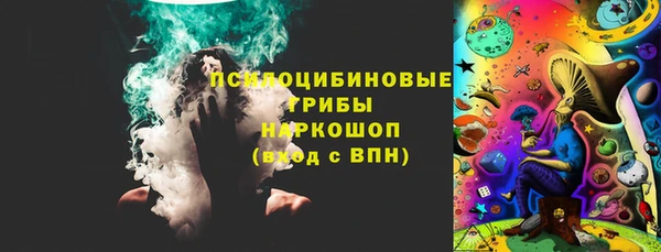 стаф Белокуриха
