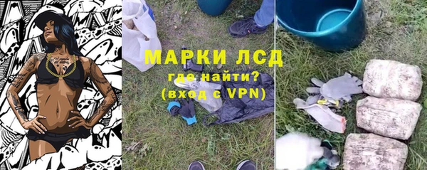 стаф Белокуриха
