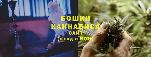 прущие грибы Беломорск