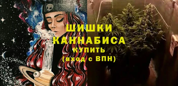 прущие грибы Беломорск