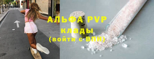 прущие грибы Беломорск