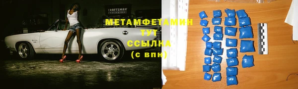 прущие грибы Беломорск