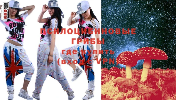 стаф Белокуриха