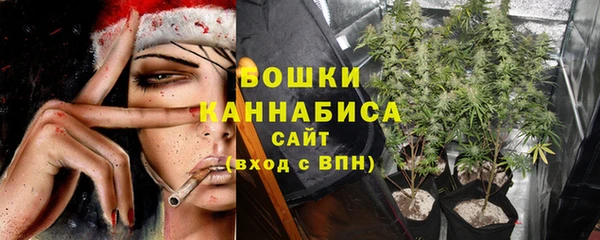 стаф Белокуриха