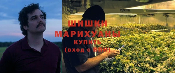 прущие грибы Беломорск