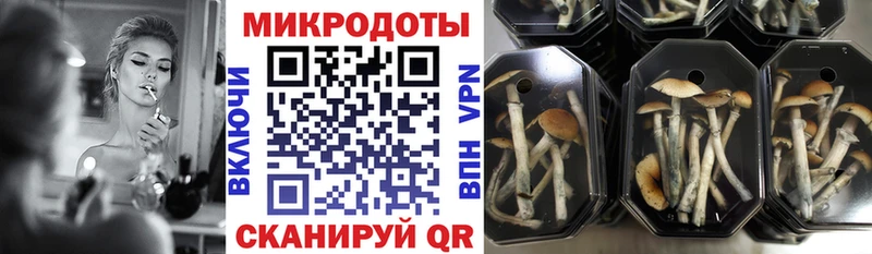 Галлюциногенные грибы GOLDEN TEACHER  Ворсма 